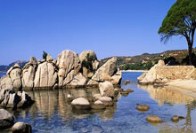 天涯问答论坛：聊聊知识碰撞，分享生活点滴，你还犹豫啥？